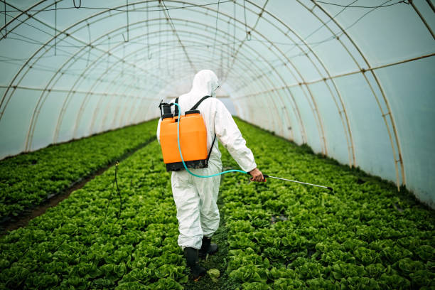 Best Pest Inspection Near Me  in Valatie, NY