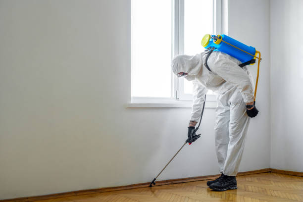 Professional Pest Control in Valatie, NY