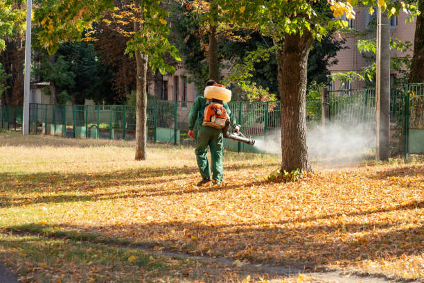 Best Mosquito Control Services  in Valatie, NY